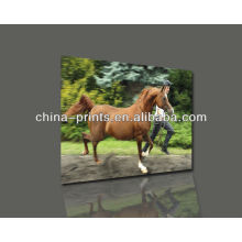 High Quality Handpainted Horse Oil Painting With Stretched